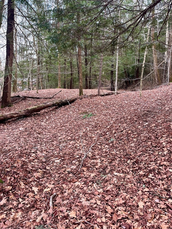 0 Parish Road Worthington, MA 01098 - Photo 8 of 14