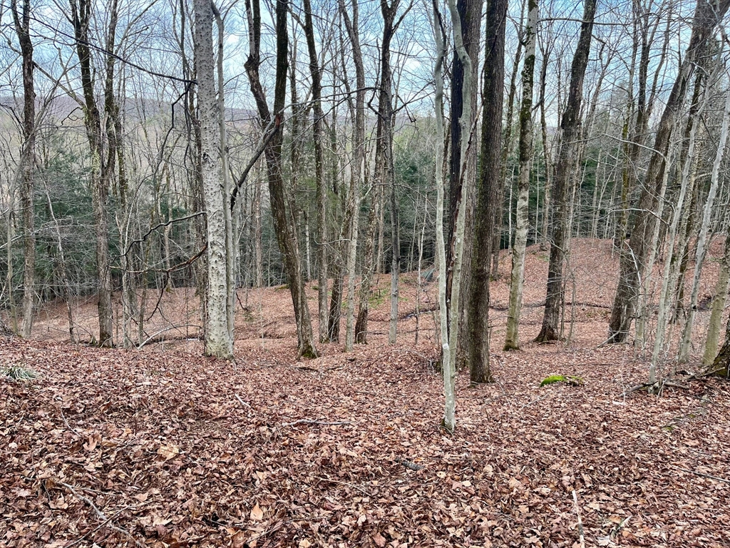 0 Parish Road Worthington, MA 01098 - Photo 9 of 14