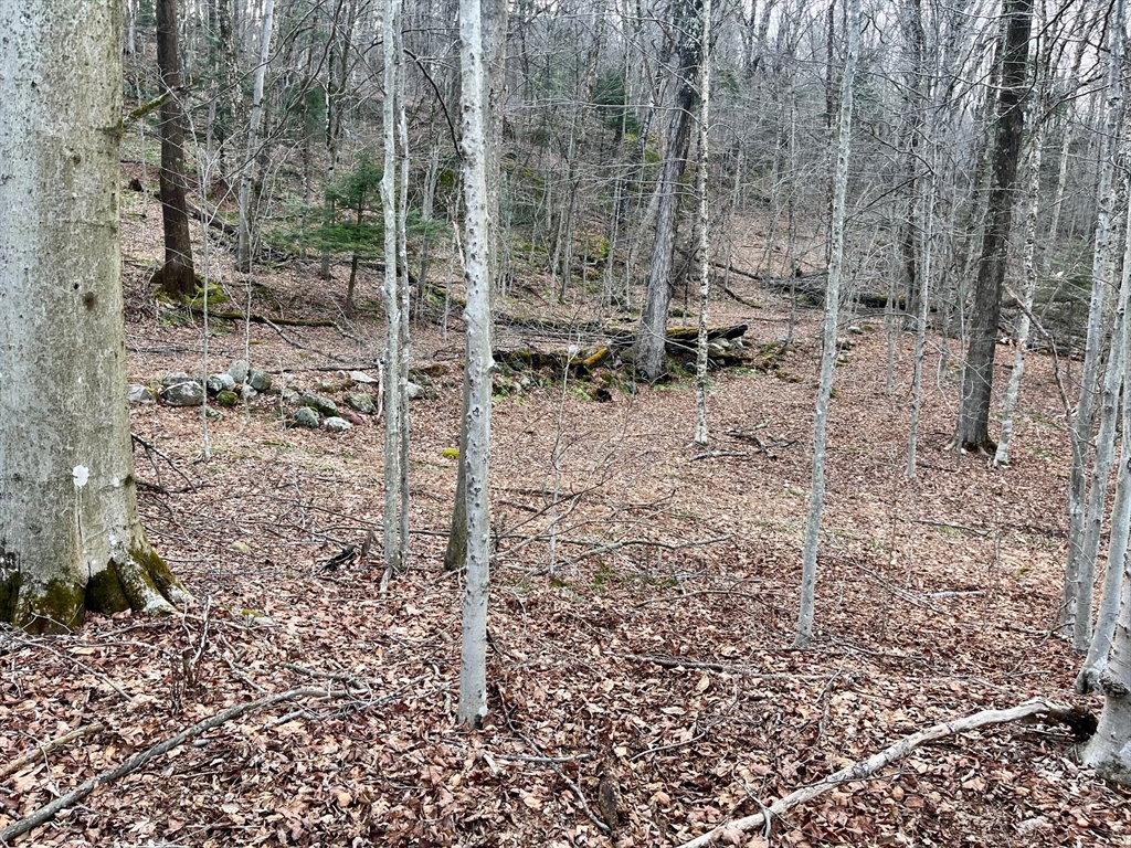 0 Parish Road Worthington, MA 01098 - Photo 10 of 14