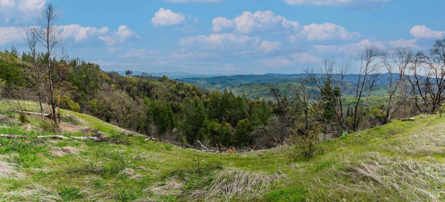 1401 Big Ridge Road Healdsburg, CA 95448 - Photo 42 of 86