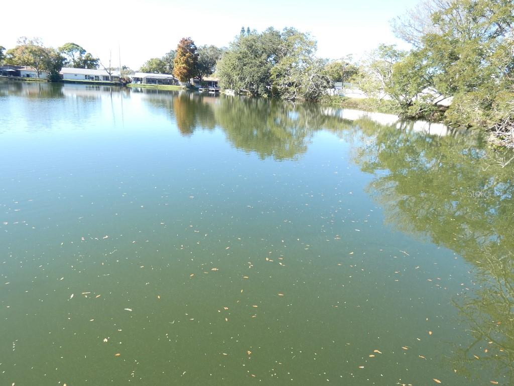 1960 Union Street, Unit 41 Clearwater, FL 33763 - Photo 40 of 45