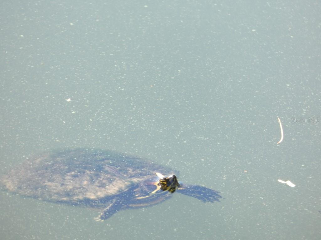 1960 Union Street, Unit 41 Clearwater, FL 33763 - Photo 6 of 45 a room with a bench