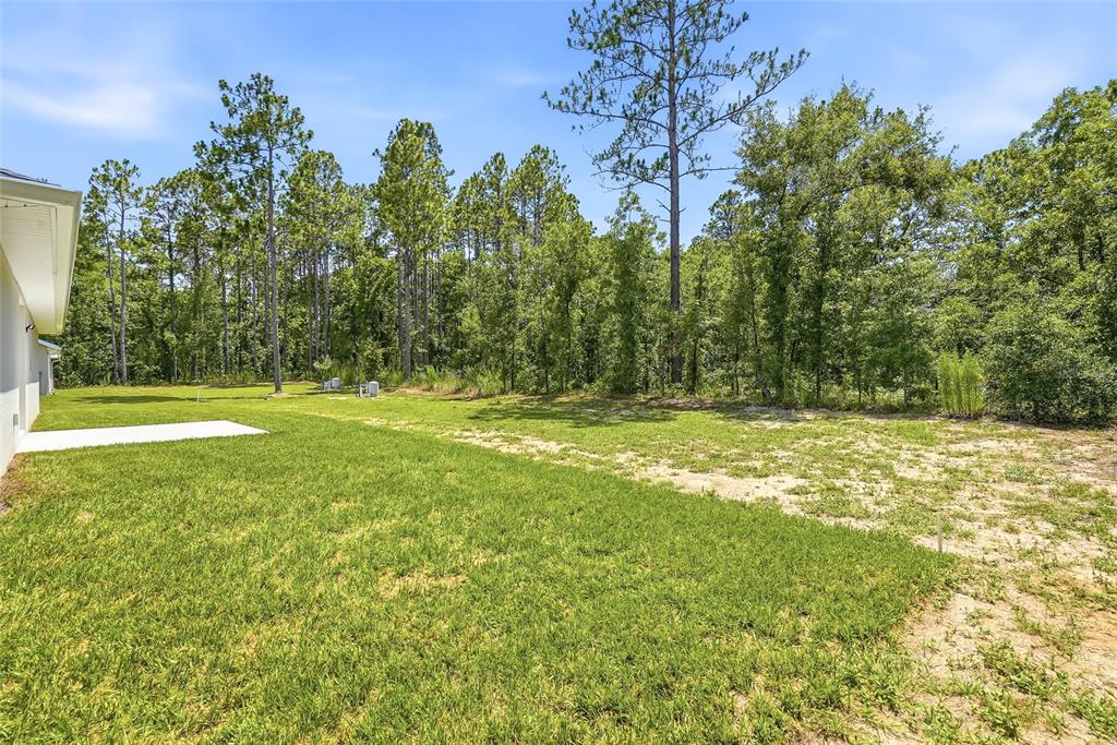 16335 Force Road Weeki Wachee, FL 34614 - Photo 40 of 54