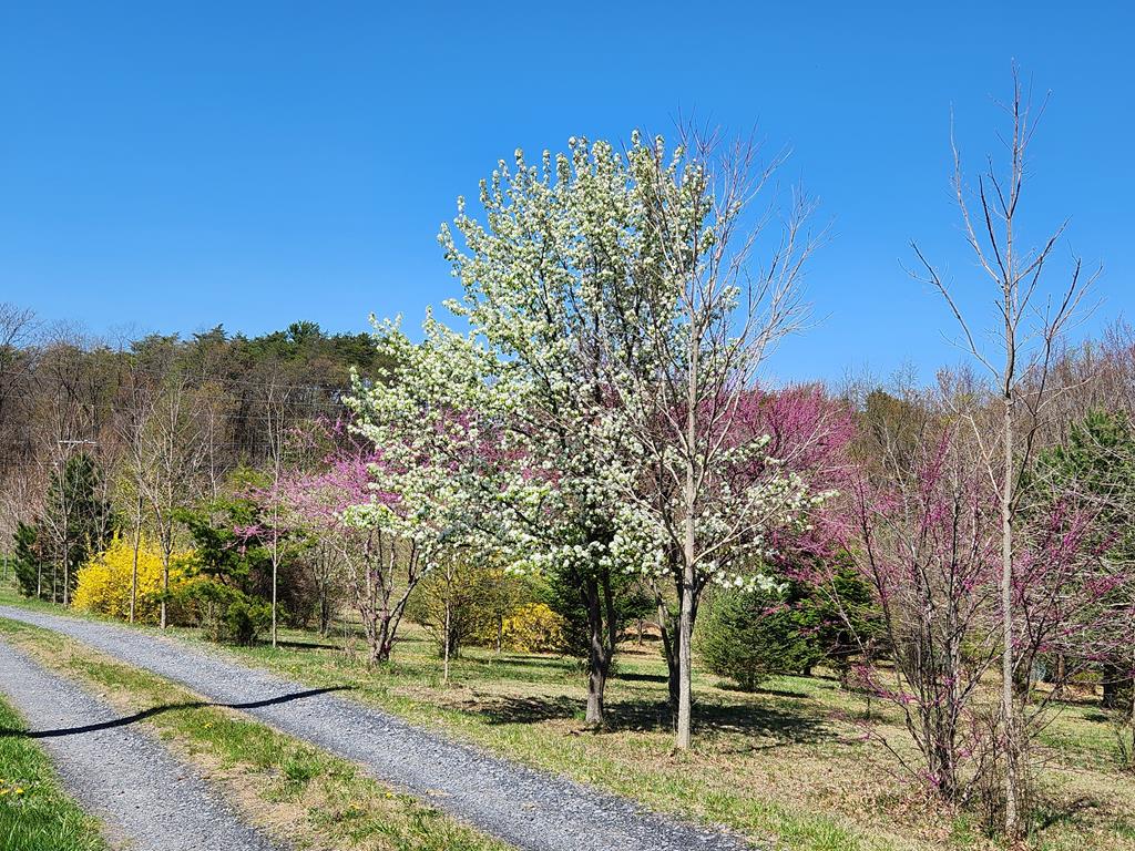 11091 Piney Ridge Road Huntingdon, PA 16652 - Photo 29 of 52 Gallery Image 29