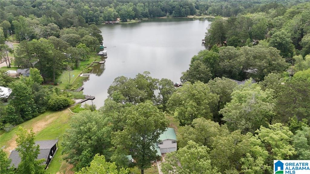 352 Harkins Lake Road Fayette, AL 35555 - Photo 8 of 41
