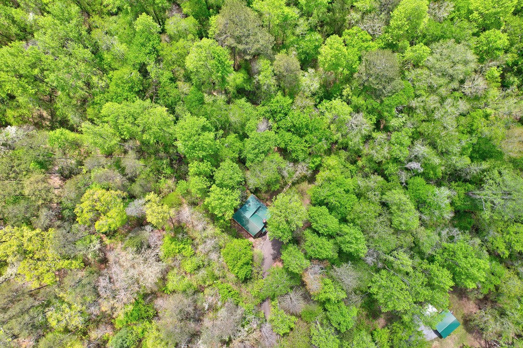 38 Forest Lane Blue Ridge, GA 30513 - Photo 30 of 31