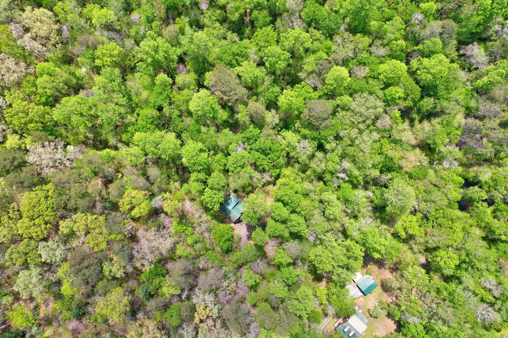 38 Forest Lane Blue Ridge, GA 30513 - Photo 31 of 31