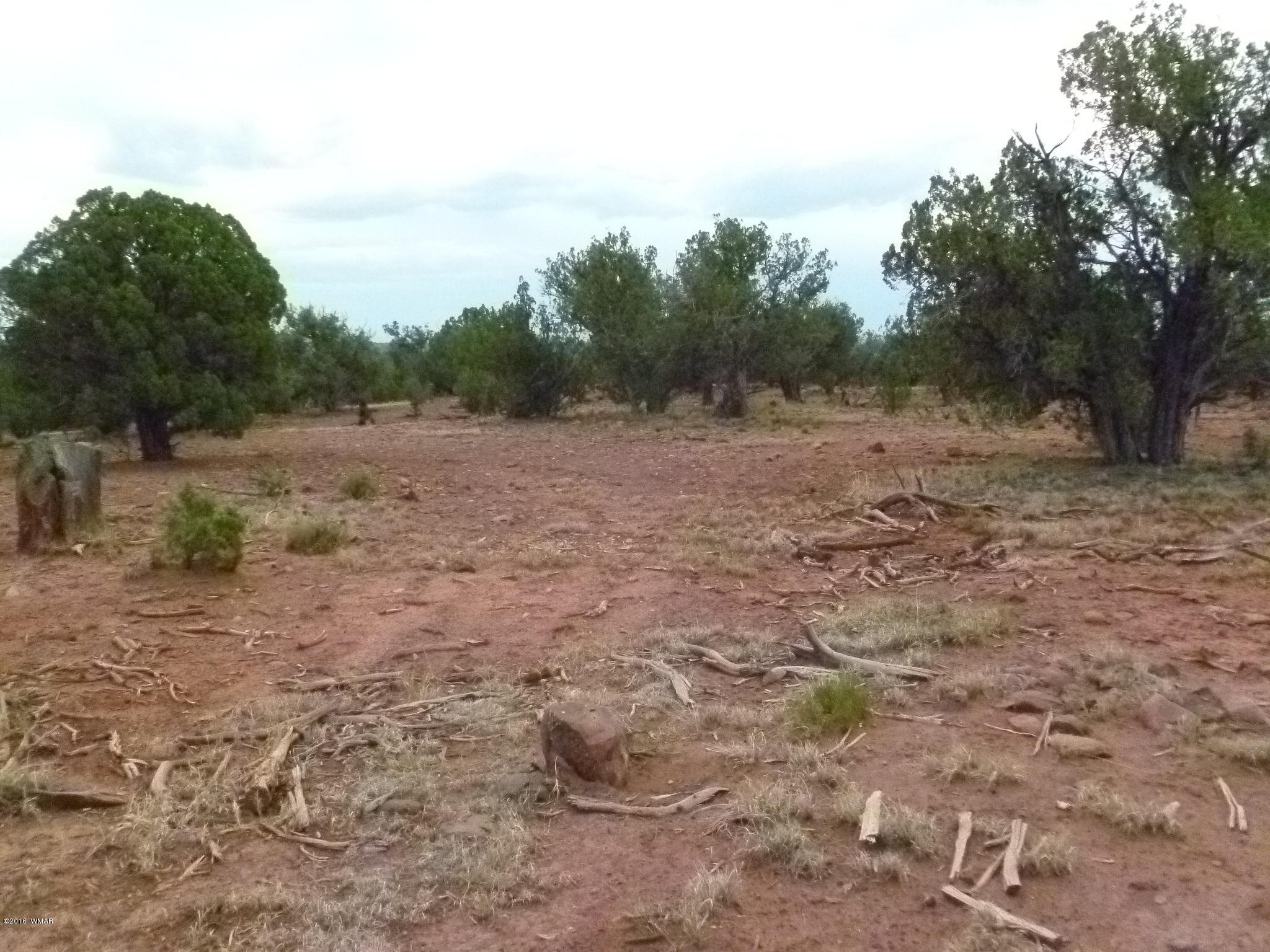 209 210 Wht Mtn Lake Ranch Show Low, AZ 85901 - Photo 3 of 10 Gallery Image 3