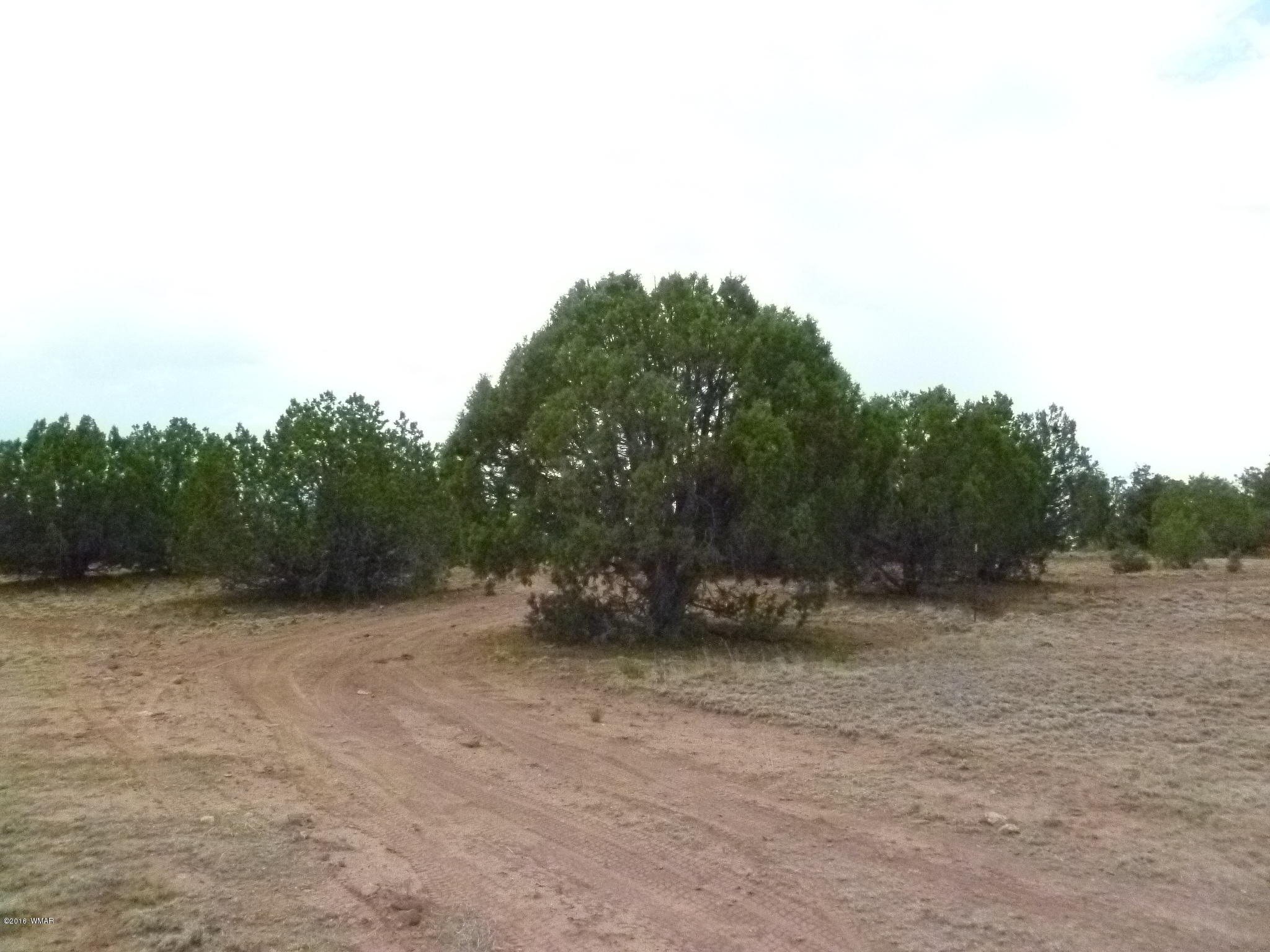 209 210 Wht Mtn Lake Ranch Show Low, AZ 85901 - Photo 4 of 10 Gallery Image 4