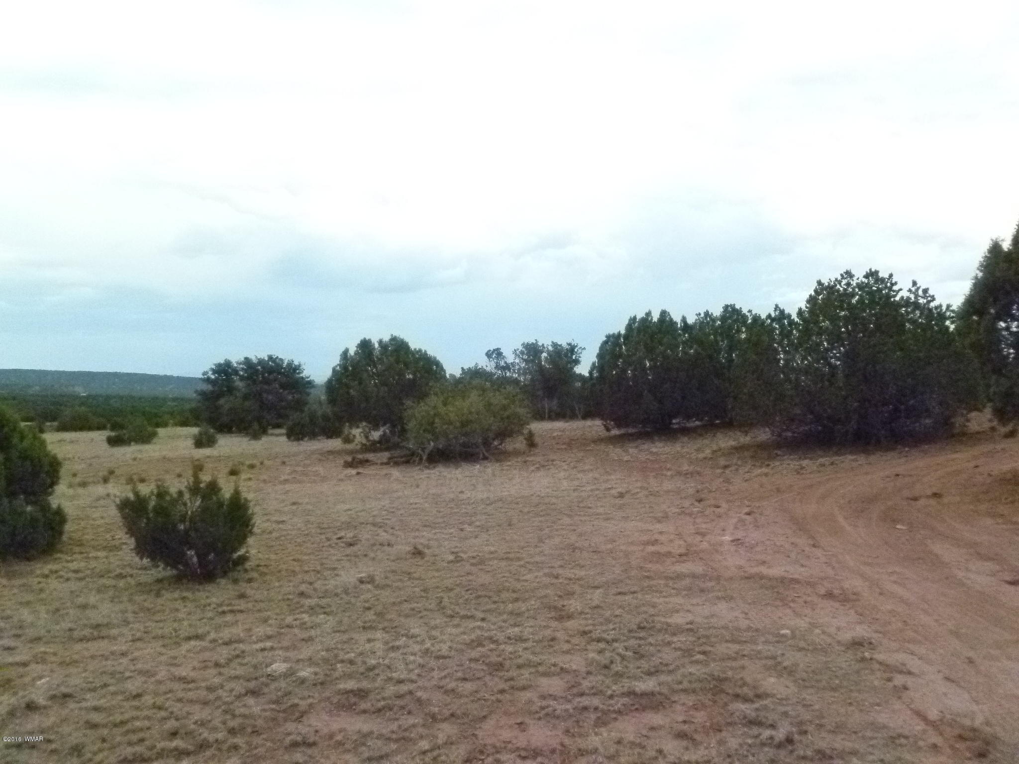 209 210 Wht Mtn Lake Ranch Show Low, AZ 85901 - Photo 5 of 10 Gallery Image 5