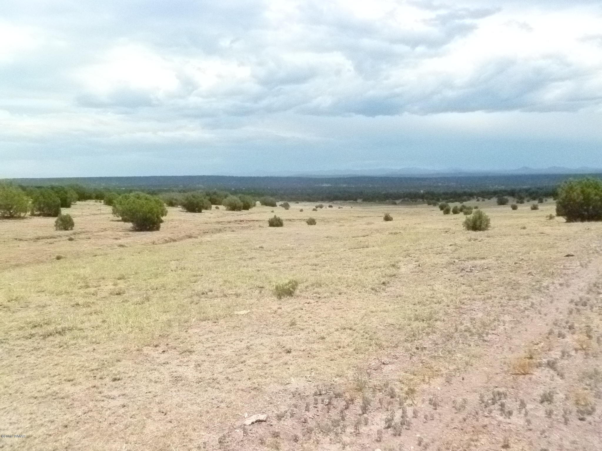 209 210 Wht Mtn Lake Ranch Show Low, AZ 85901 - Photo 7 of 10 Gallery Image 7
