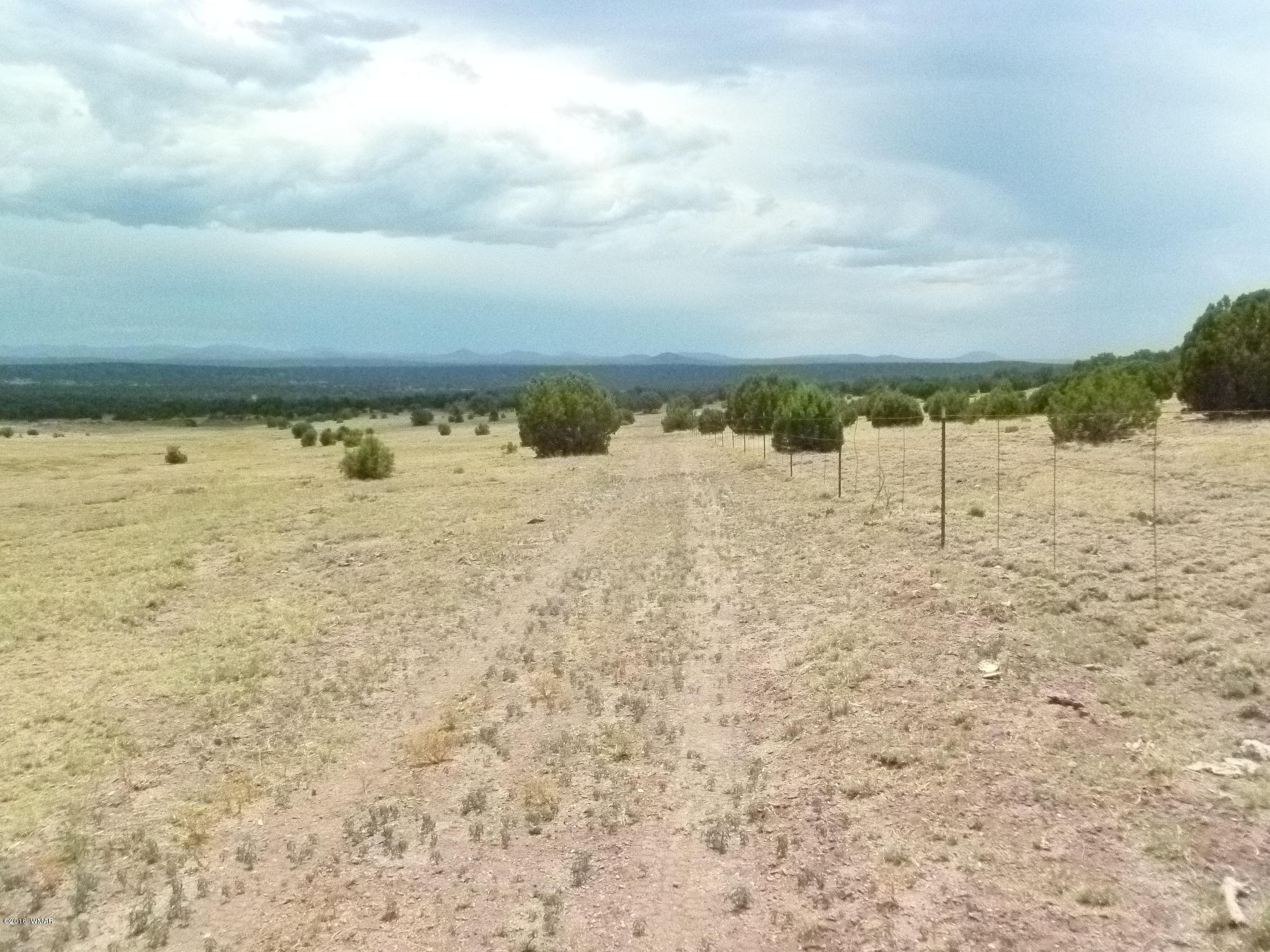 209 210 Wht Mtn Lake Ranch Show Low, AZ 85901 - Photo 8 of 10 Gallery Image 8