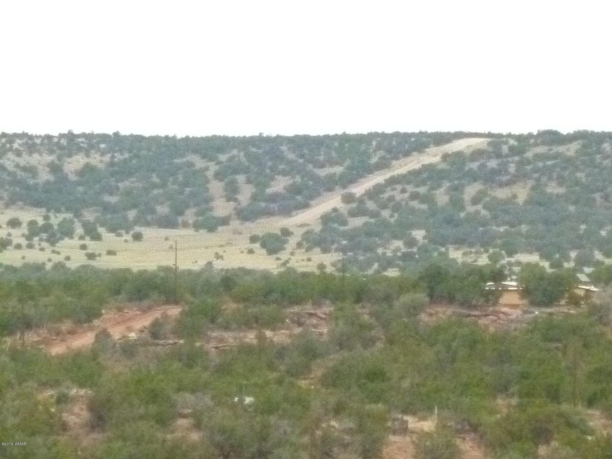 209 210 Wht Mtn Lake Ranch Show Low, AZ 85901 - Photo 10 of 10 Gallery Image 10