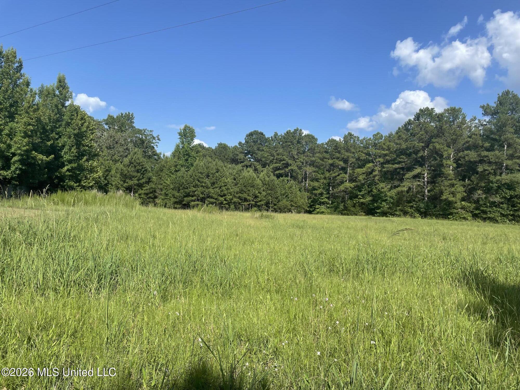 444 Jims Road Lena, MS 39094 - Photo 10 of 31 IMG_1548