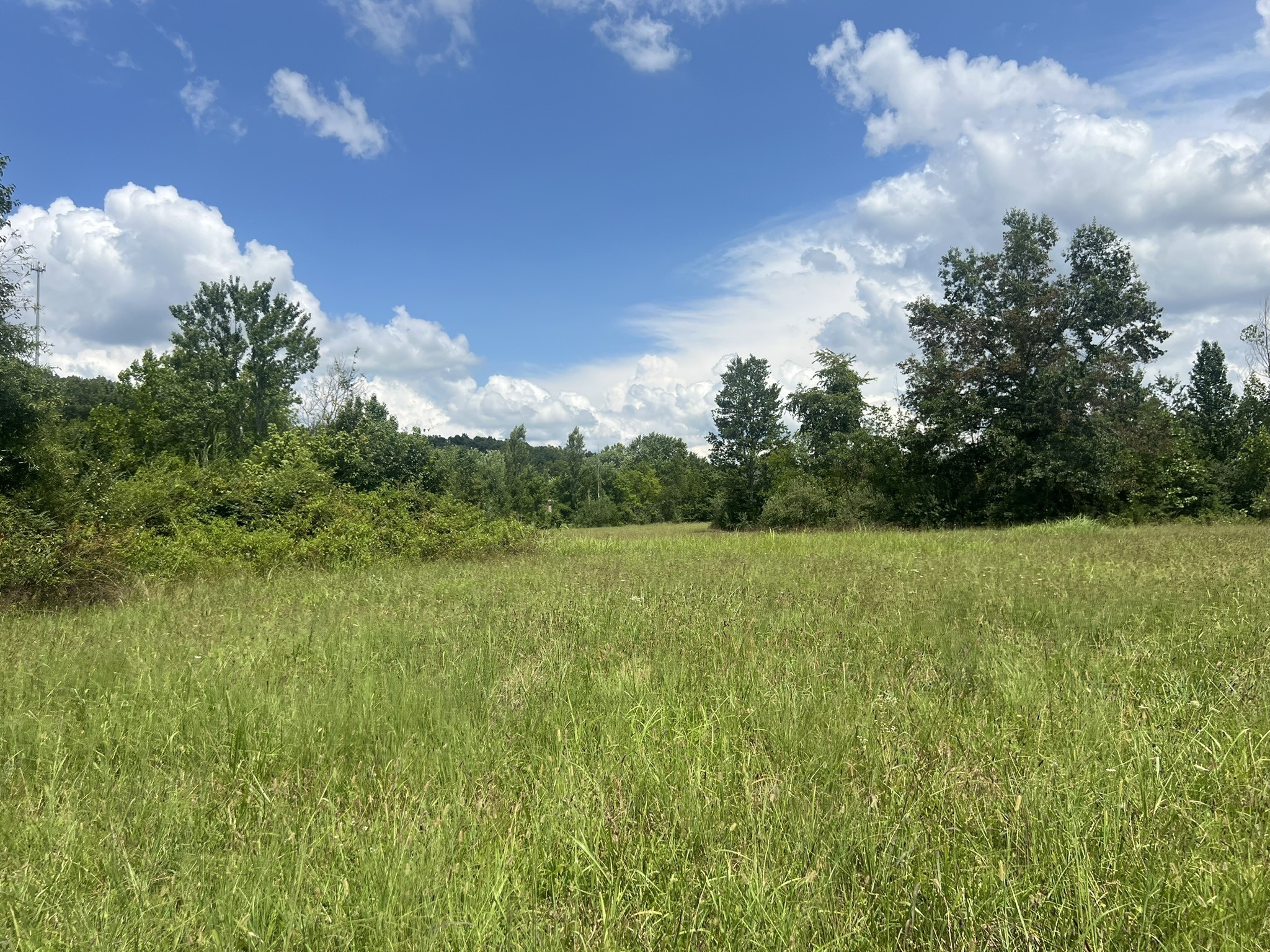 0 Martin Road Portland, TN 37148 - Photo 10 of 26 Gallery Image 10