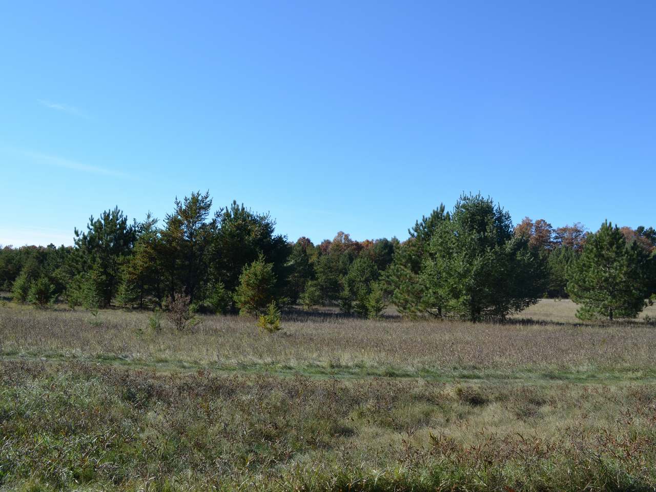 Lot 3 Point O Pines Road Tomahawk, WI 54487 - Photo 16 of 20 Gallery Image 16