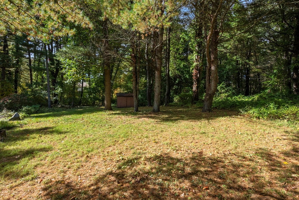 148 Oxbow Road Wayland, MA 01778 - Photo 31 of 32 a view of backyard with green space