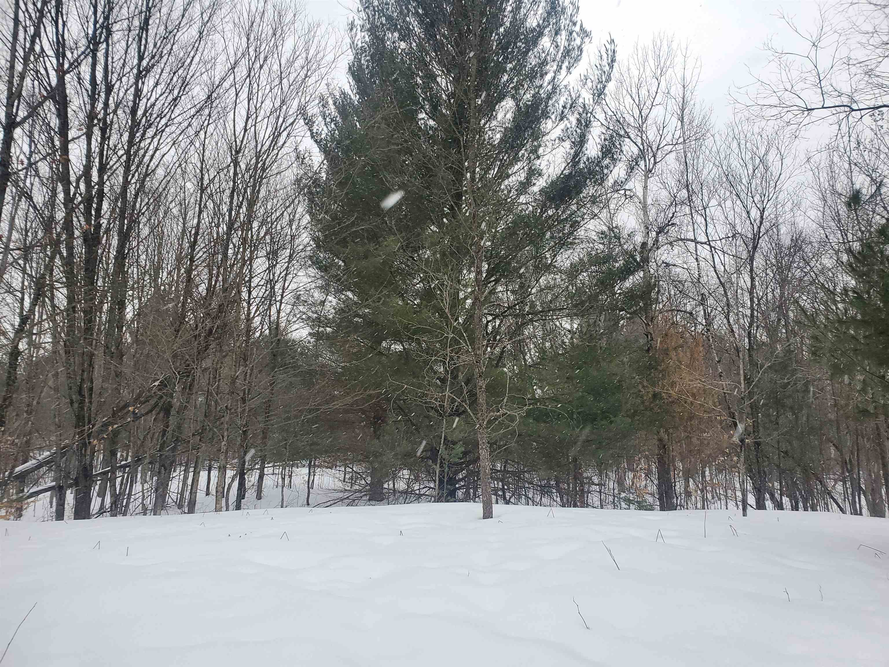 3266 Kettle Lake Road Kalkaska, MI 49646 - Photo 23 of 33 1896843-24.JPG