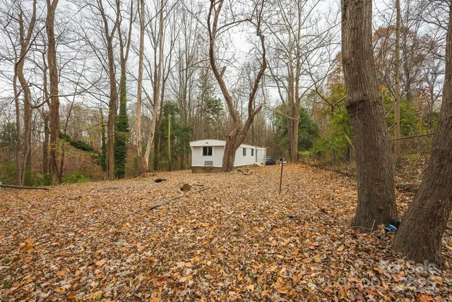 a street view with large trees