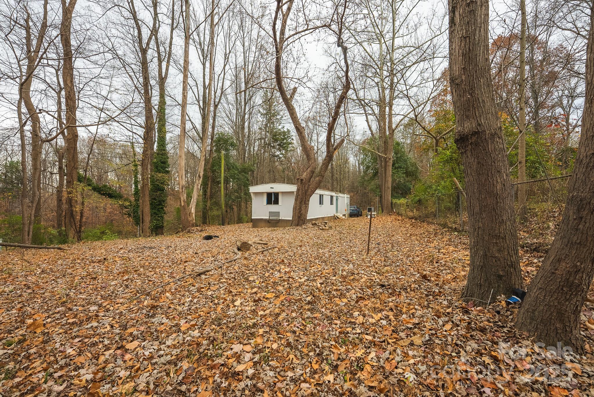 9336 Pinewood Avenue Charlotte, NC 28214 - Photo 14 of 37 a street view with large trees