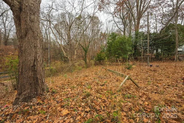 a view of backyard with green space