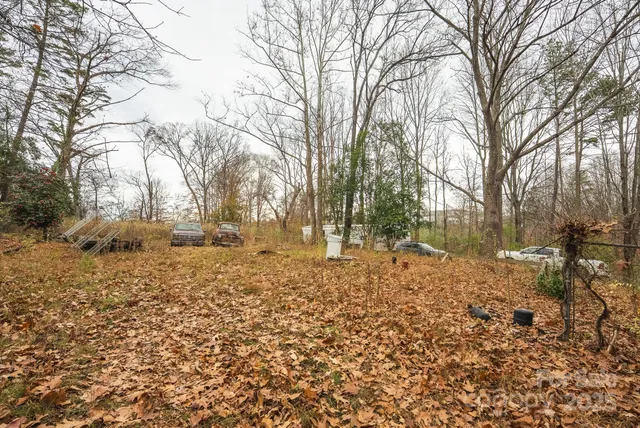 a view of trees with yard