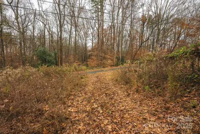 a view of a lake view with large trees