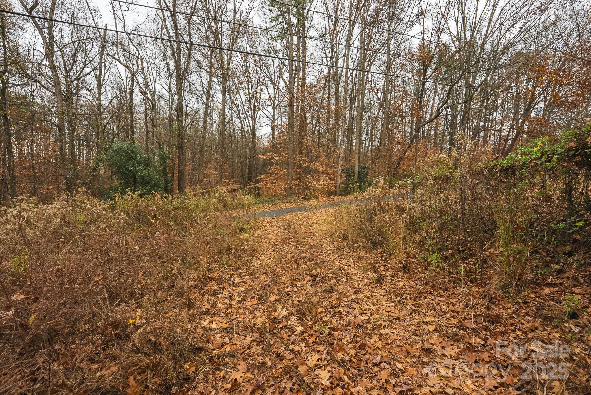 9336 Pinewood Avenue Charlotte, NC 28214 - Photo 29 of 37 a view of trees with yard