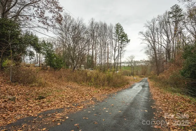 a view of a yard with a tree