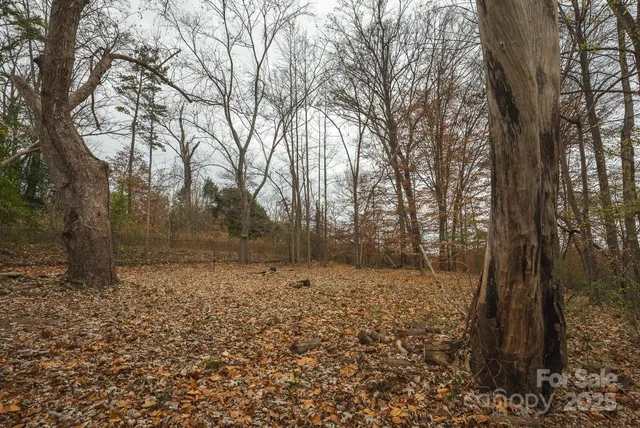 a view of a yard with trees