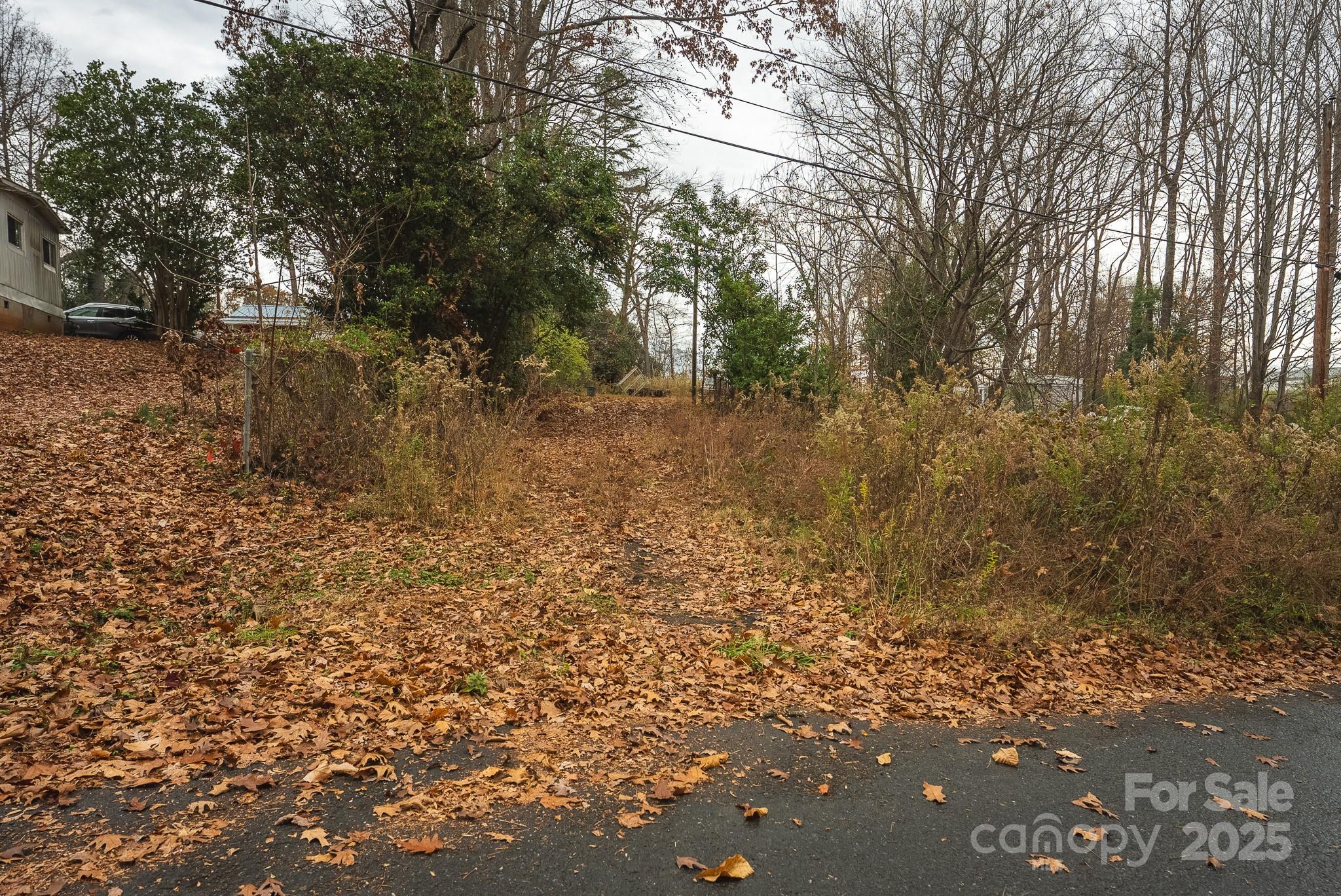 9336 Pinewood Avenue Charlotte, NC 28214 - Photo 31 of 37 a view of a yard with a tree