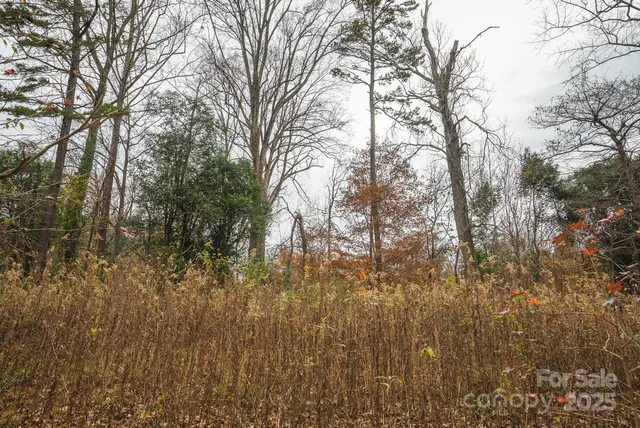 a view of a street with a trees