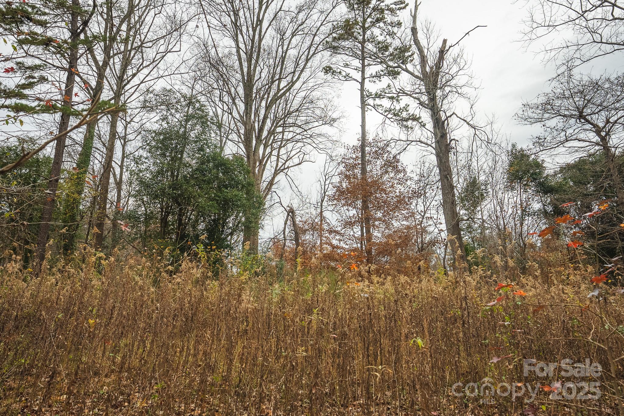 9336 Pinewood Avenue Charlotte, NC 28214 - Photo 32 of 37 a view of forest