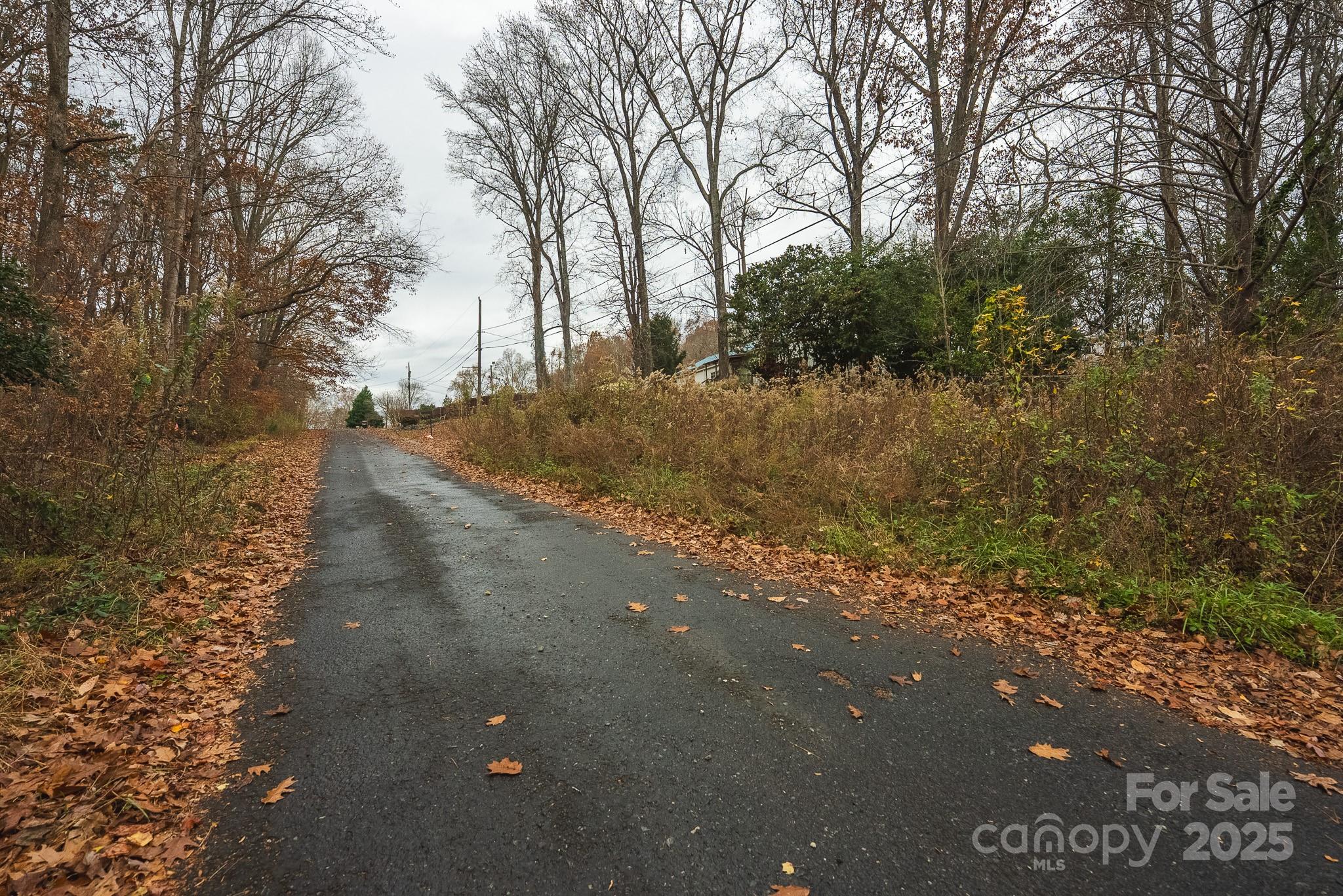 9336 Pinewood Avenue Charlotte, NC 28214 - Photo 33 of 37 a view of a street with a trees