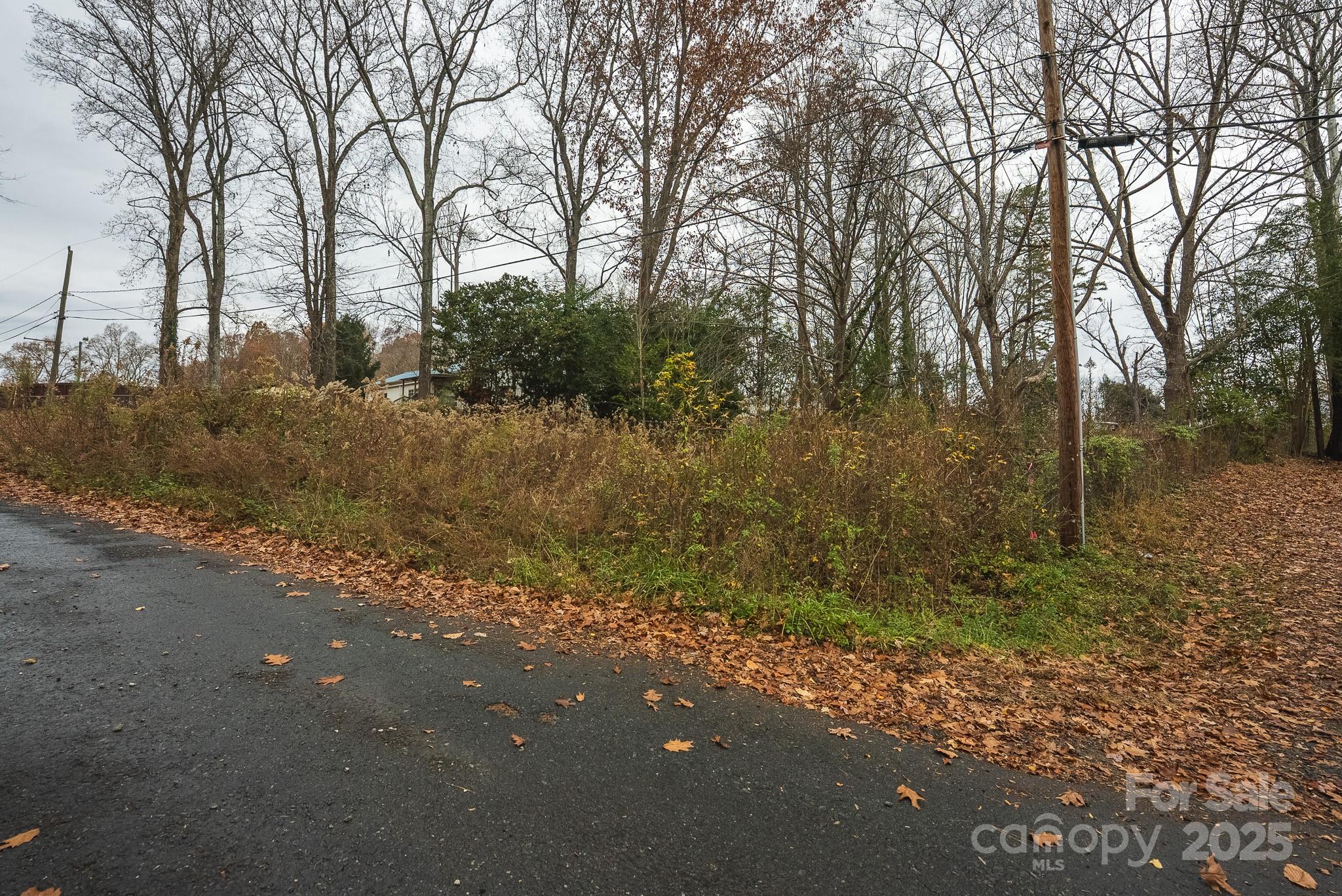 9336 Pinewood Avenue Charlotte, NC 28214 - Photo 34 of 37 a backyard of a house with lots of green space