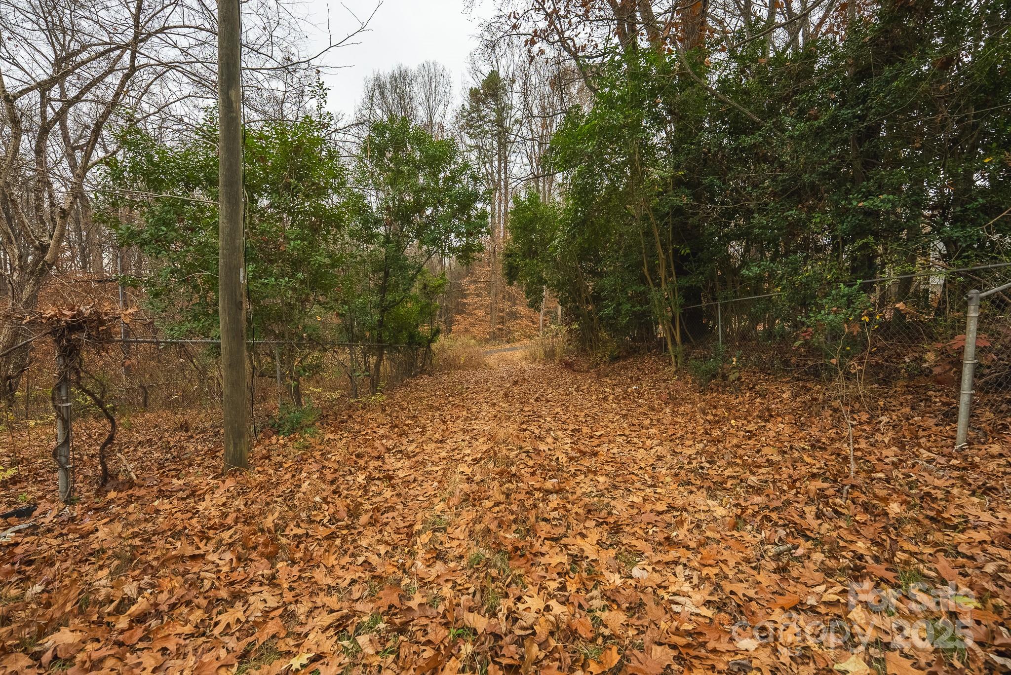 9336 Pinewood Avenue Charlotte, NC 28214 - Photo 35 of 37 a backyard of a house with lots of green space