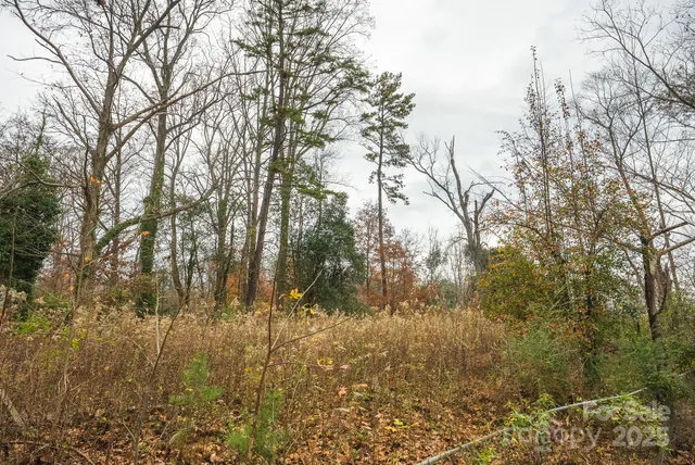 $85,000 | 9336 Pinewood Avenue, Charlotte, NC 28214