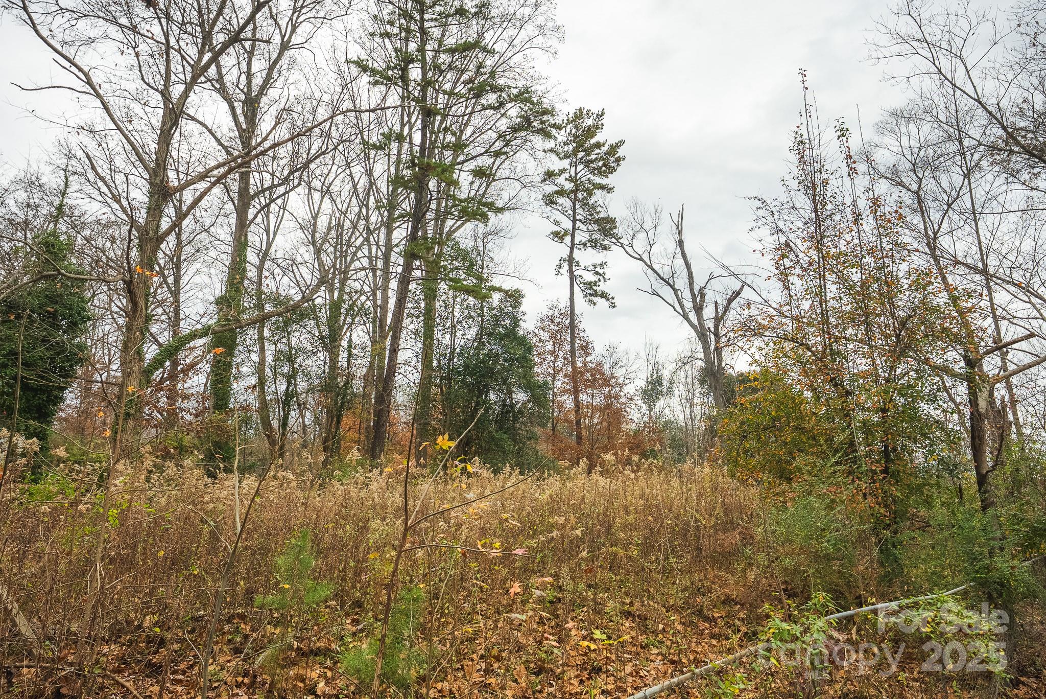 9336 Pinewood Avenue Charlotte, NC 28214 - Photo 37 of 37 a view of a yard