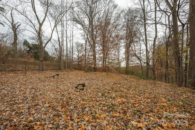 a view of outdoor space with yard