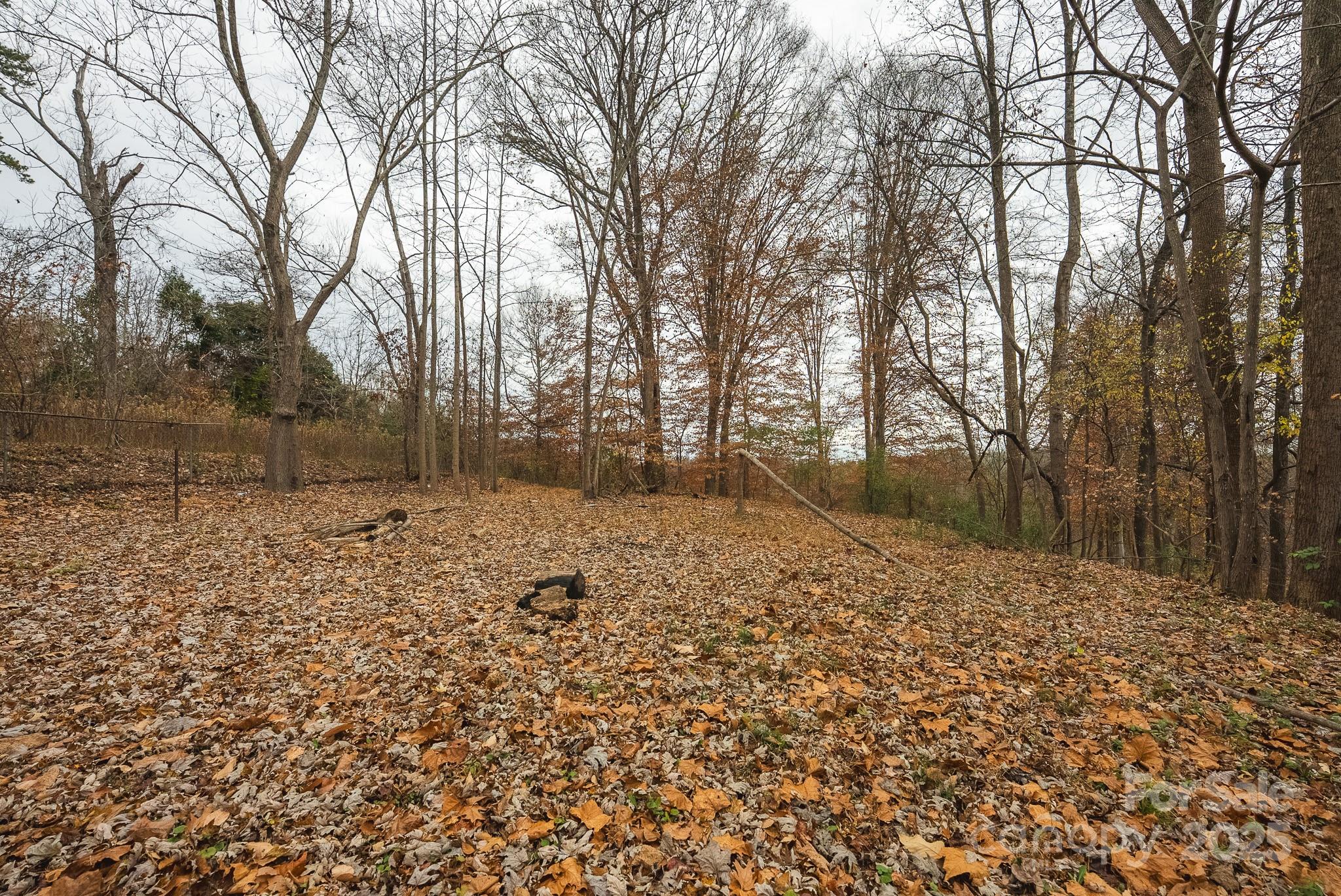 9336 Pinewood Avenue Charlotte, NC 28214 - Photo 4 of 37 a view of outdoor space with yard