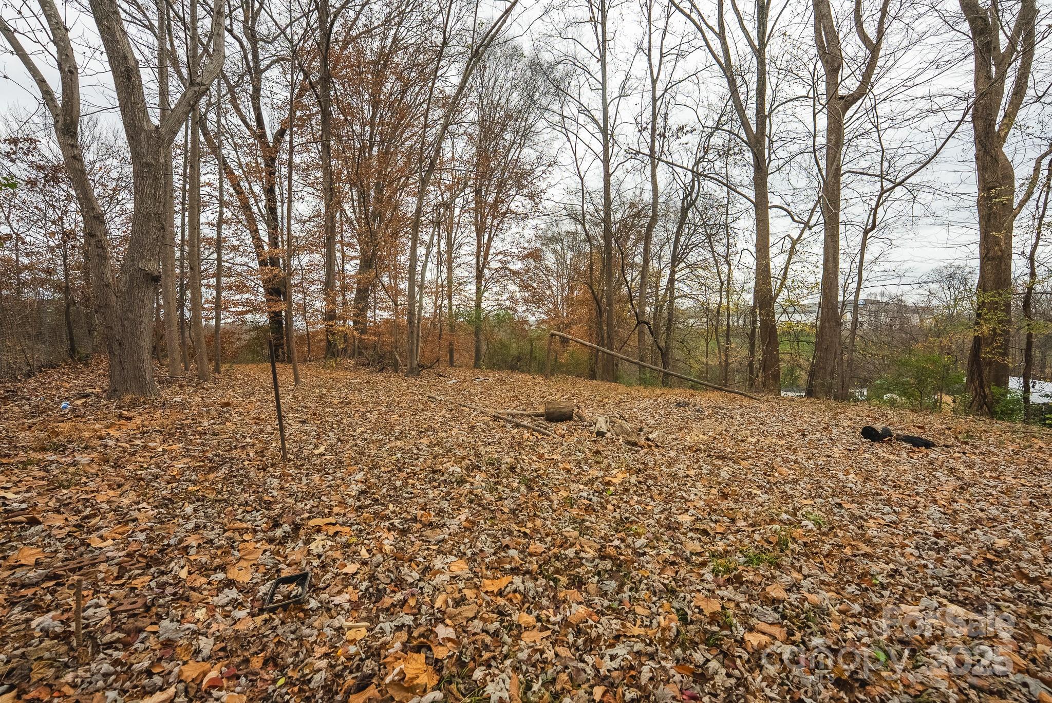 9336 Pinewood Avenue Charlotte, NC 28214 - Photo 5 of 37 a backyard of a house with lots of green space