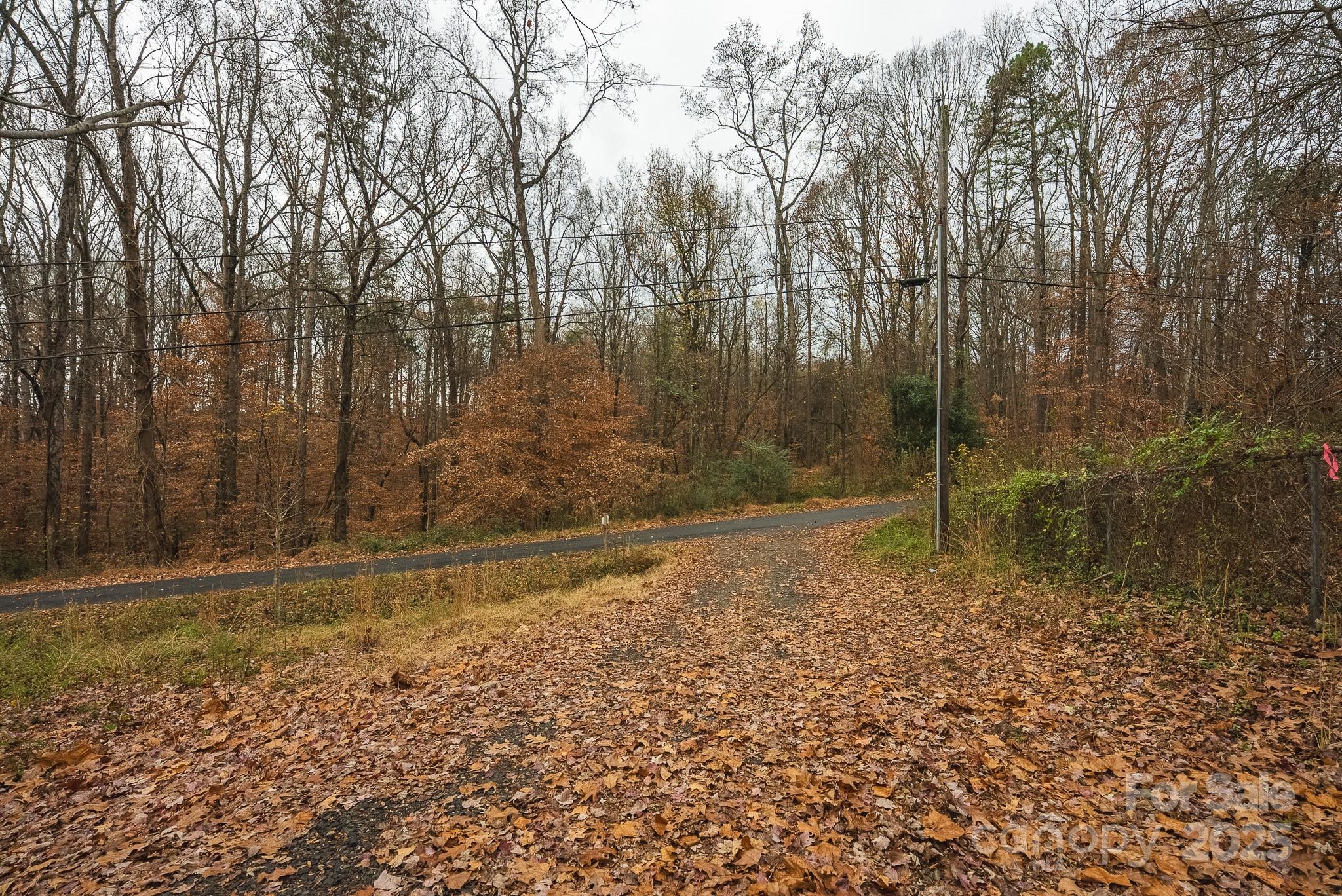9336 Pinewood Avenue Charlotte, NC 28214 - Photo 6 of 37 a view of a yard