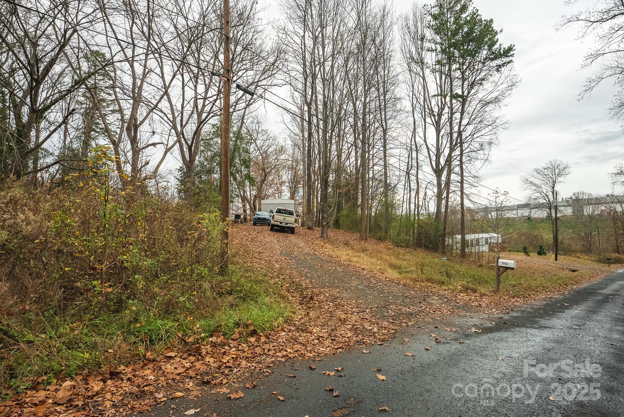 9336 Pinewood Avenue Charlotte, NC 28214 - Photo 7 of 37 a view of a yard with a tree