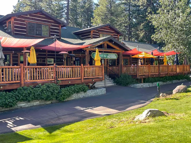 a view of a park with large trees