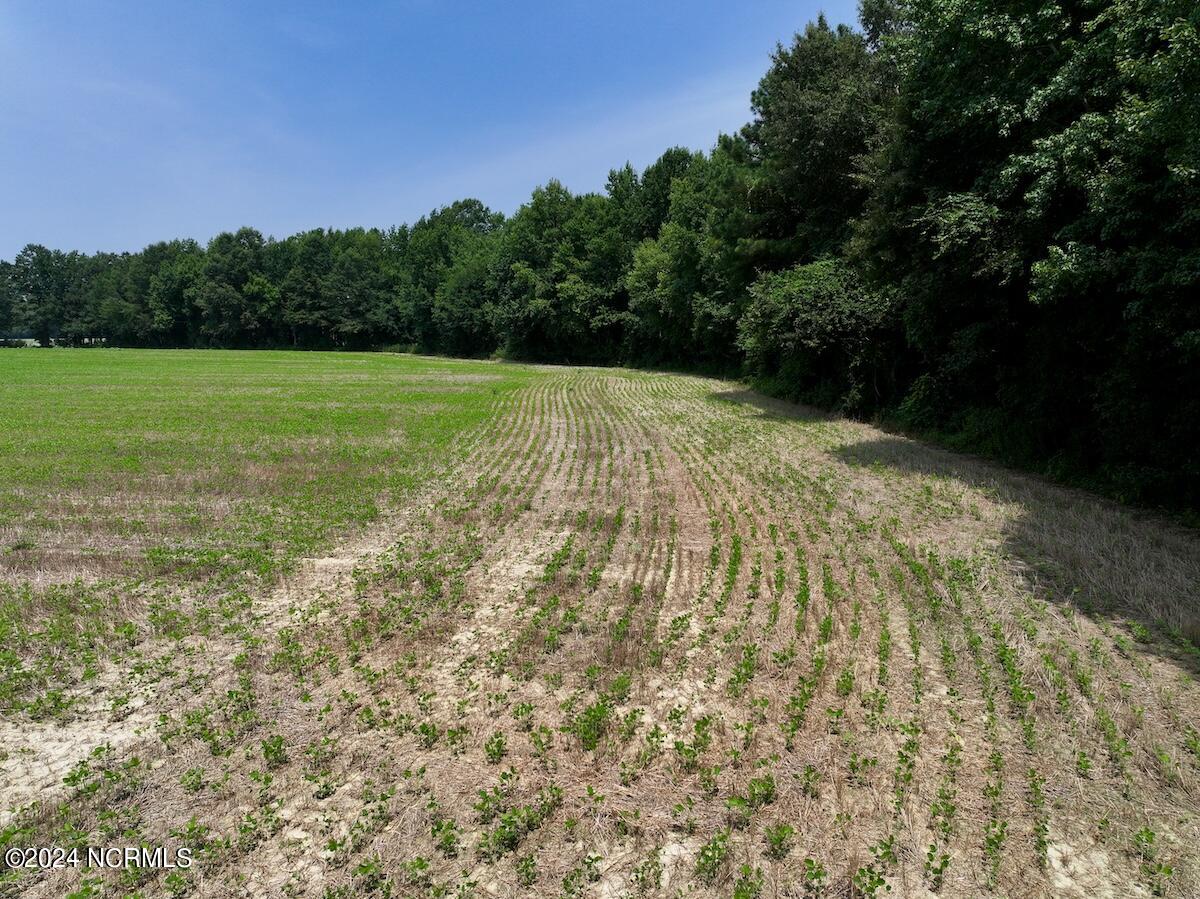 0 Woodruff Road Selma, NC 27576 - Photo 24 of 42 24
