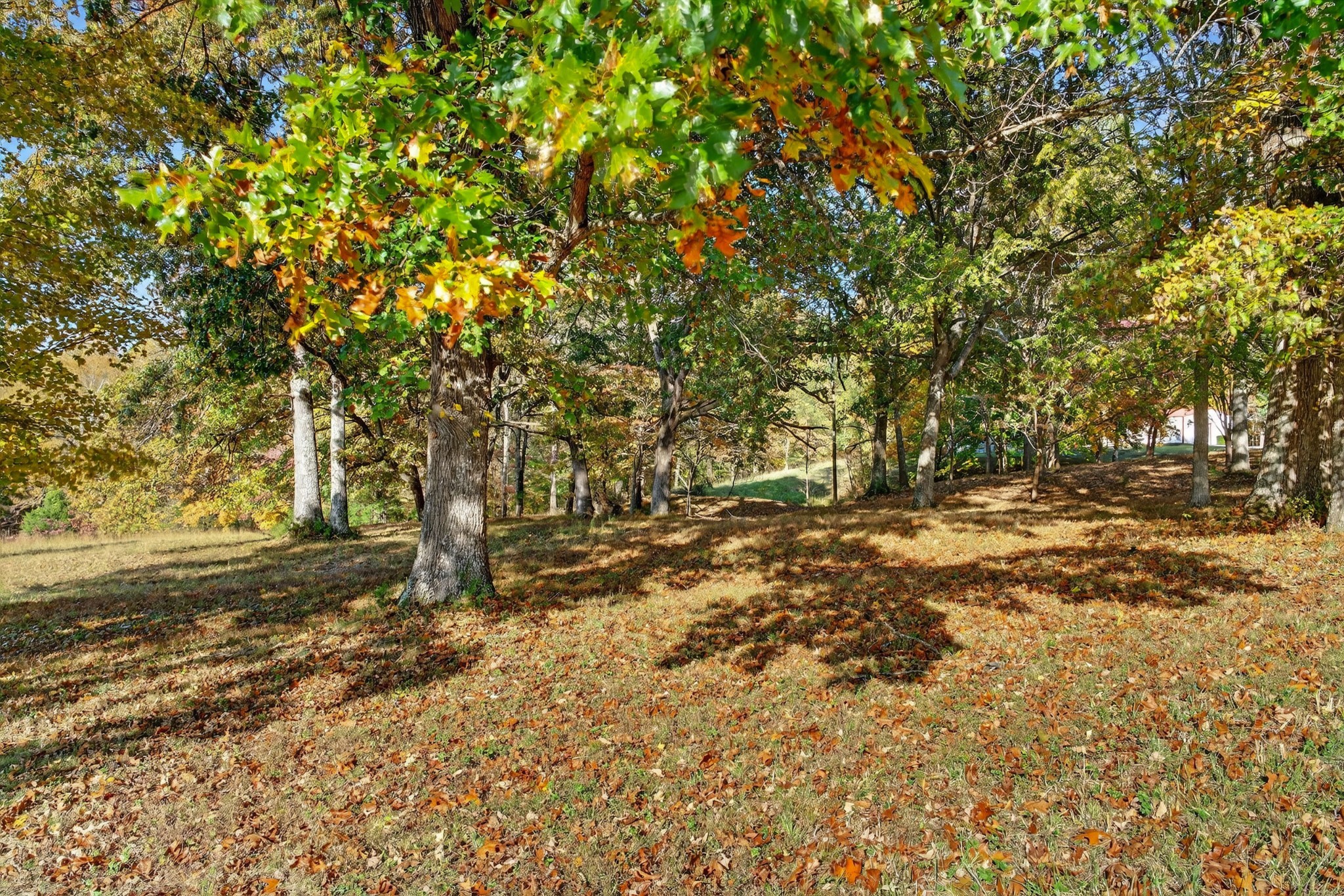 226 West Biggs Road Cottontown, TN 37048 - Photo 17 of 56