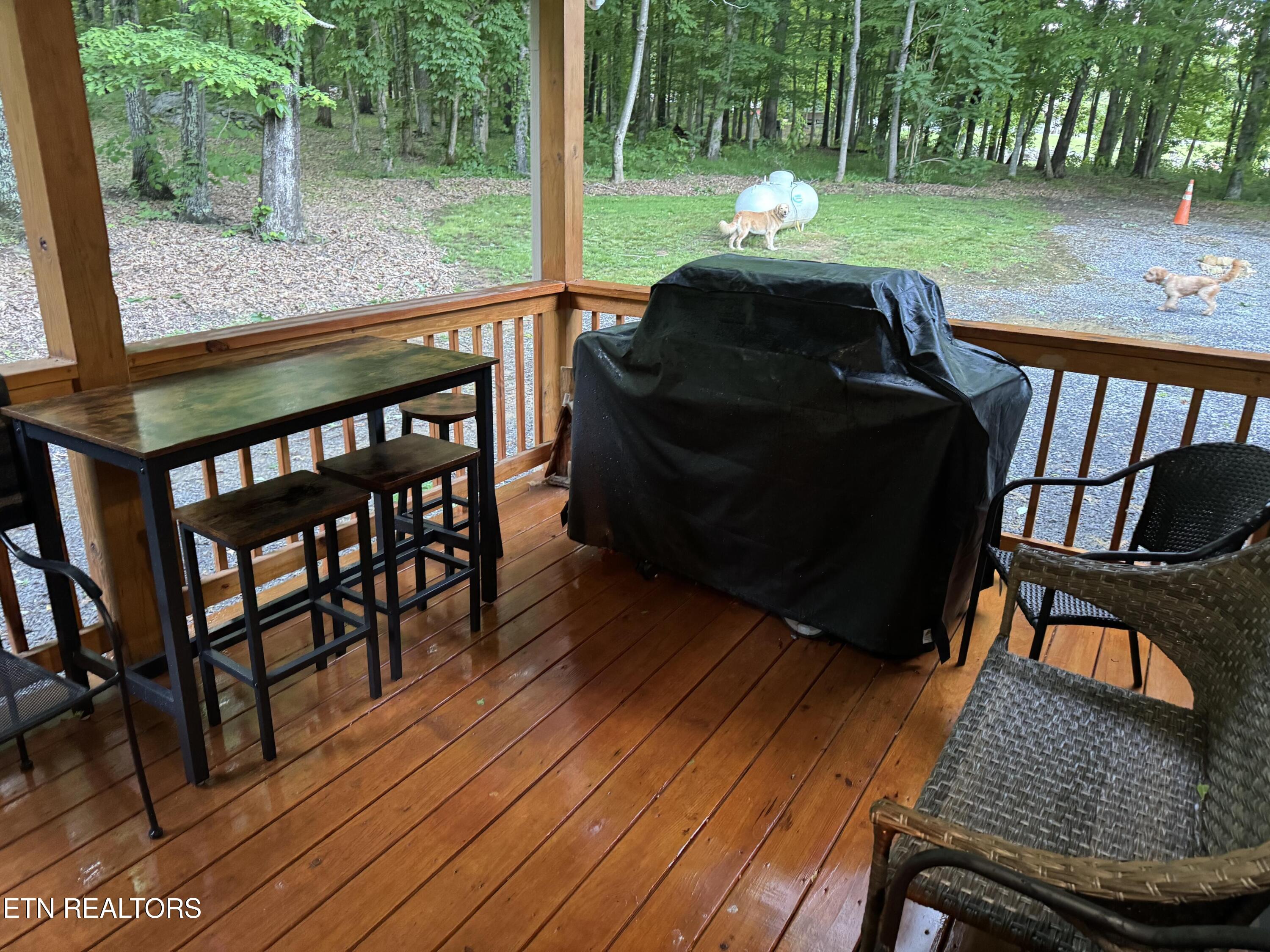 910 English Mountain Road Cosby, TN 37722 - Photo 33 of 60 33