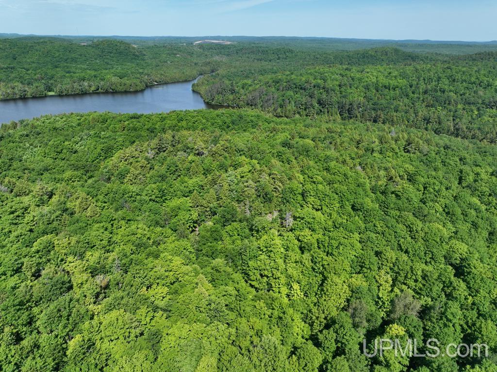 0 County Road 553 Road Marquette, MI 49855 - Photo 16 of 38