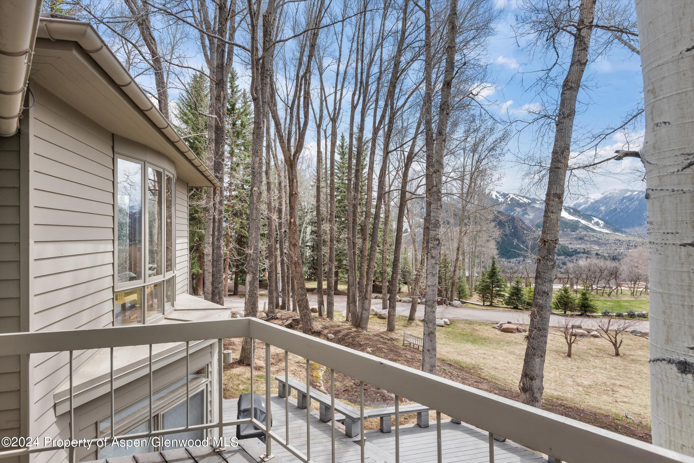 371 East Reds Road Aspen, CO 81612 - Photo 16 of 40 Primary Bedroom Balcony