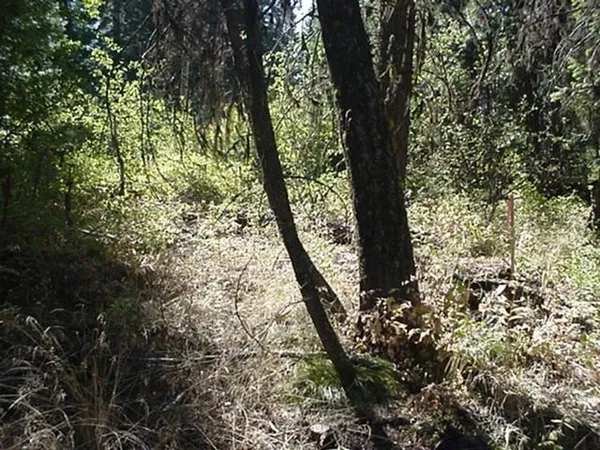 $49,000 | Tbd Tbd Ruth Street, Unit S/2 LOT 45, Cascade, ID 83611